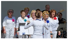 2013 Muziektuin Fotograaf (36).jpg